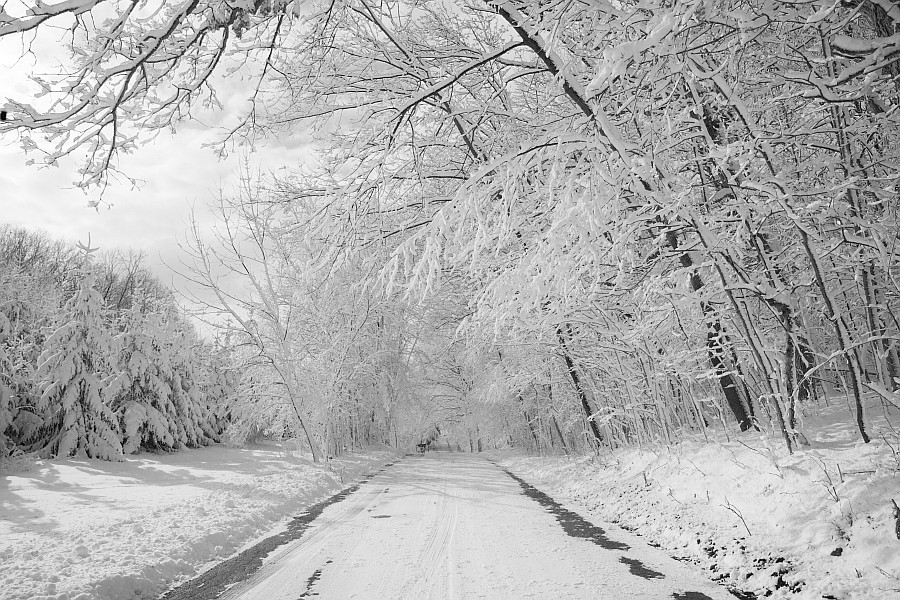 Snow @ Holy Hill, Wisconsin, 2012